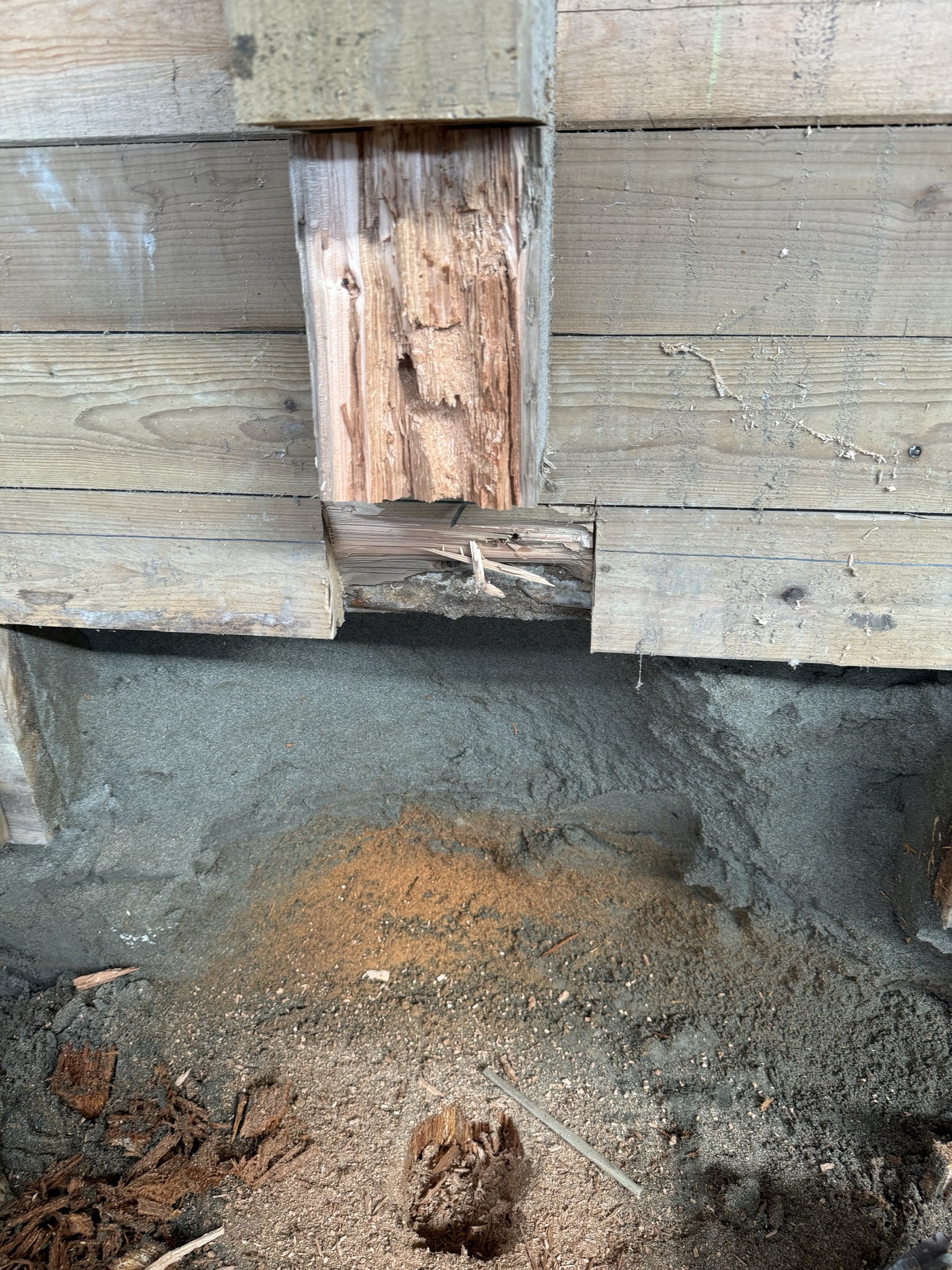 Structural post rotted through and separated at its base, still in place in the arena wall at Coast Performance Horses, Langley