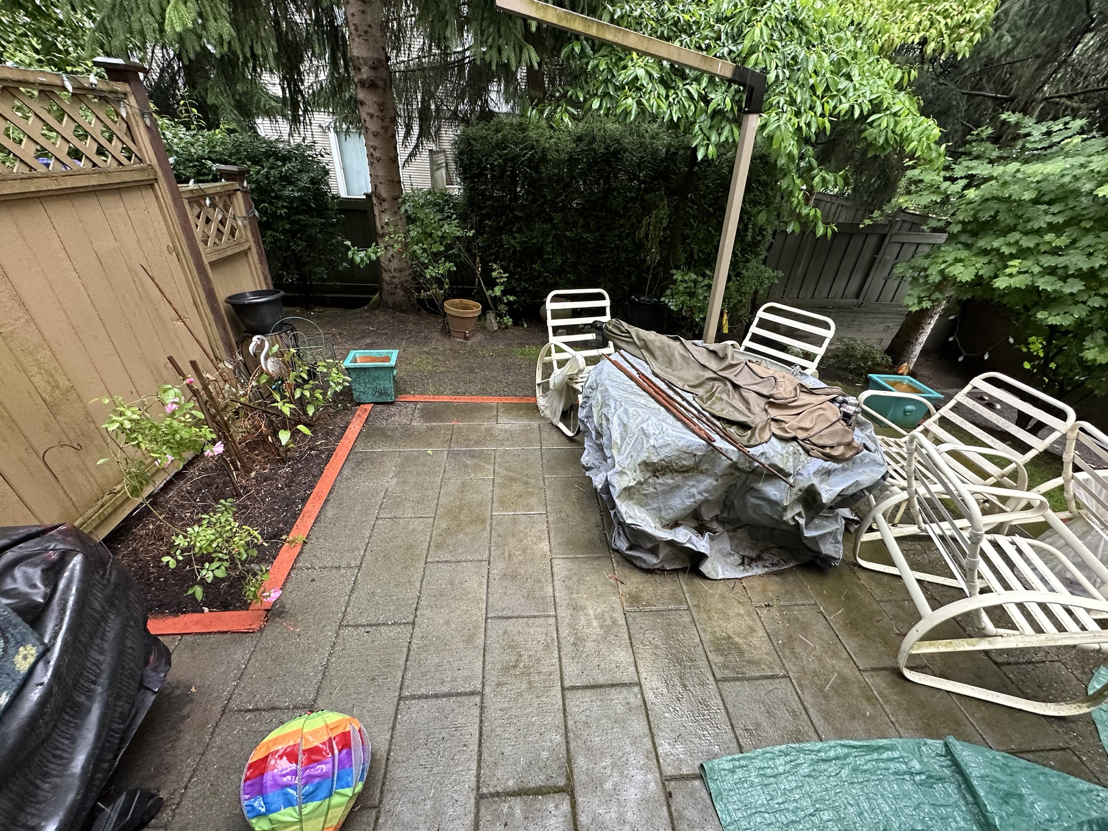 Paula Dhillon back yard before renovation in Surrey — old worn concrete-paver patio, mossy and cluttered with covered furniture